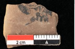 Foto (Detailansicht) von Myrica lignitum Unger (NHMW-GEO-2024-0188-0677)